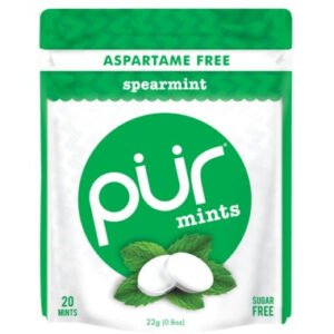 Pur Gum Spearmint Mints - 22 g